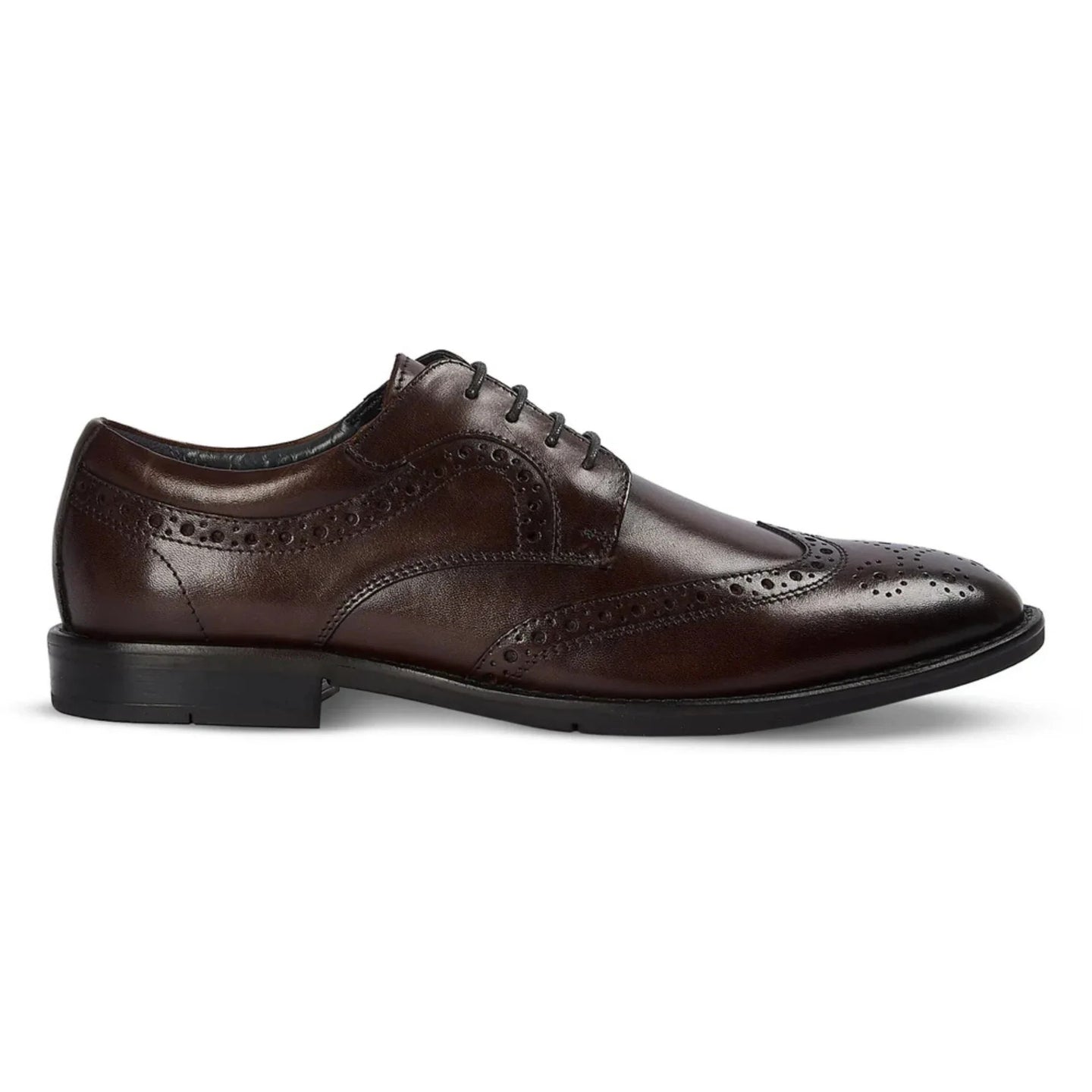 Cambridge - Pantofi Derby Brogue cu Wingtip, maro închis, pentru bărbați