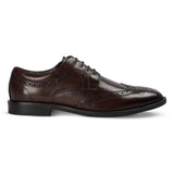 Cambridge - Pantofi Derby Brogue cu Wingtip, maro închis, pentru bărbați