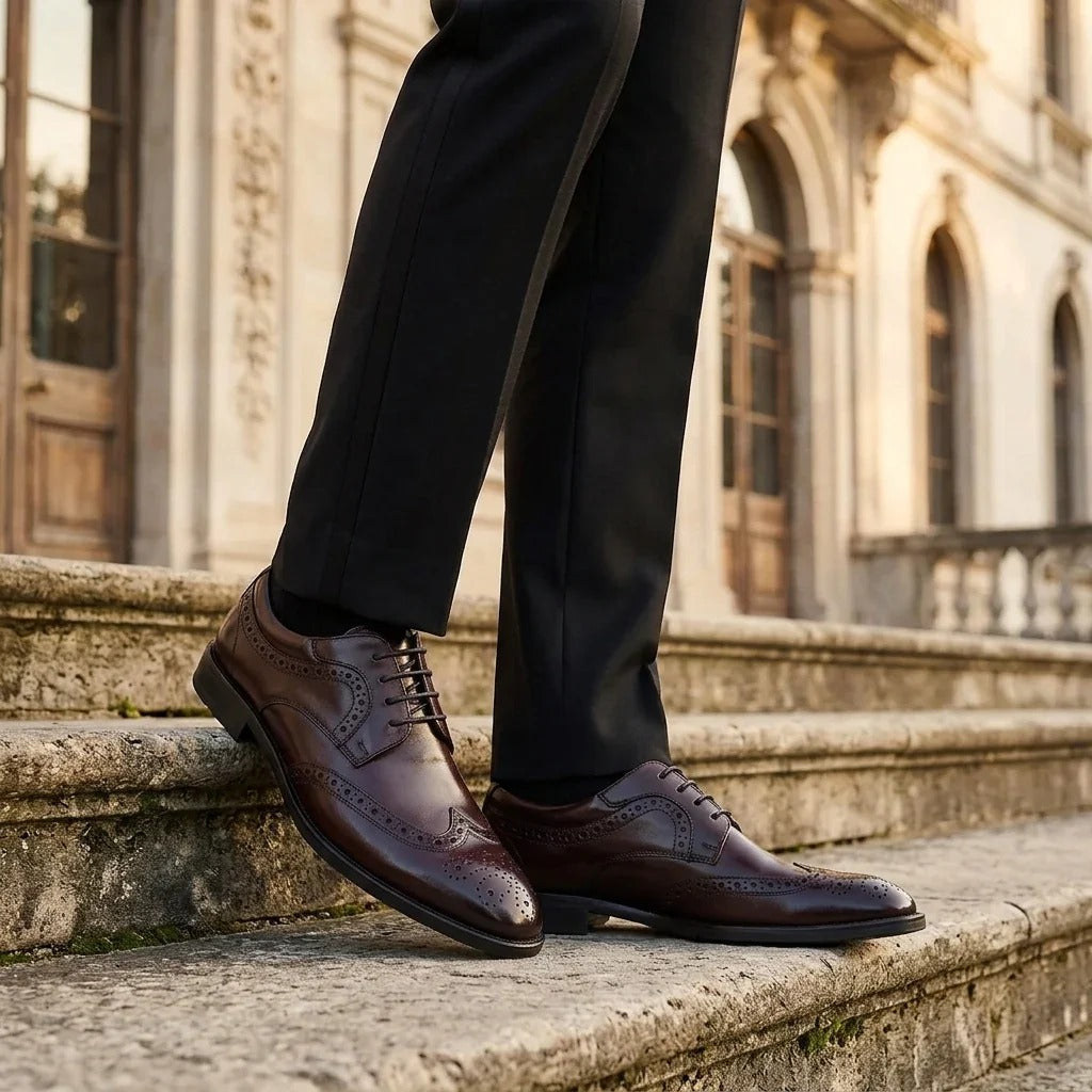 Cambridge - Pantofi Derby Brogue cu Wingtip, maro închis, pentru bărbați