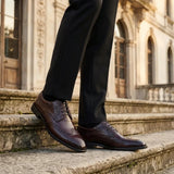 Cambridge - Pantofi Derby Brogue cu Wingtip, maro închis, pentru bărbați