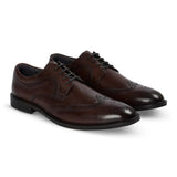 Cambridge - Pantofi Derby Brogue cu Wingtip, maro închis, pentru bărbați