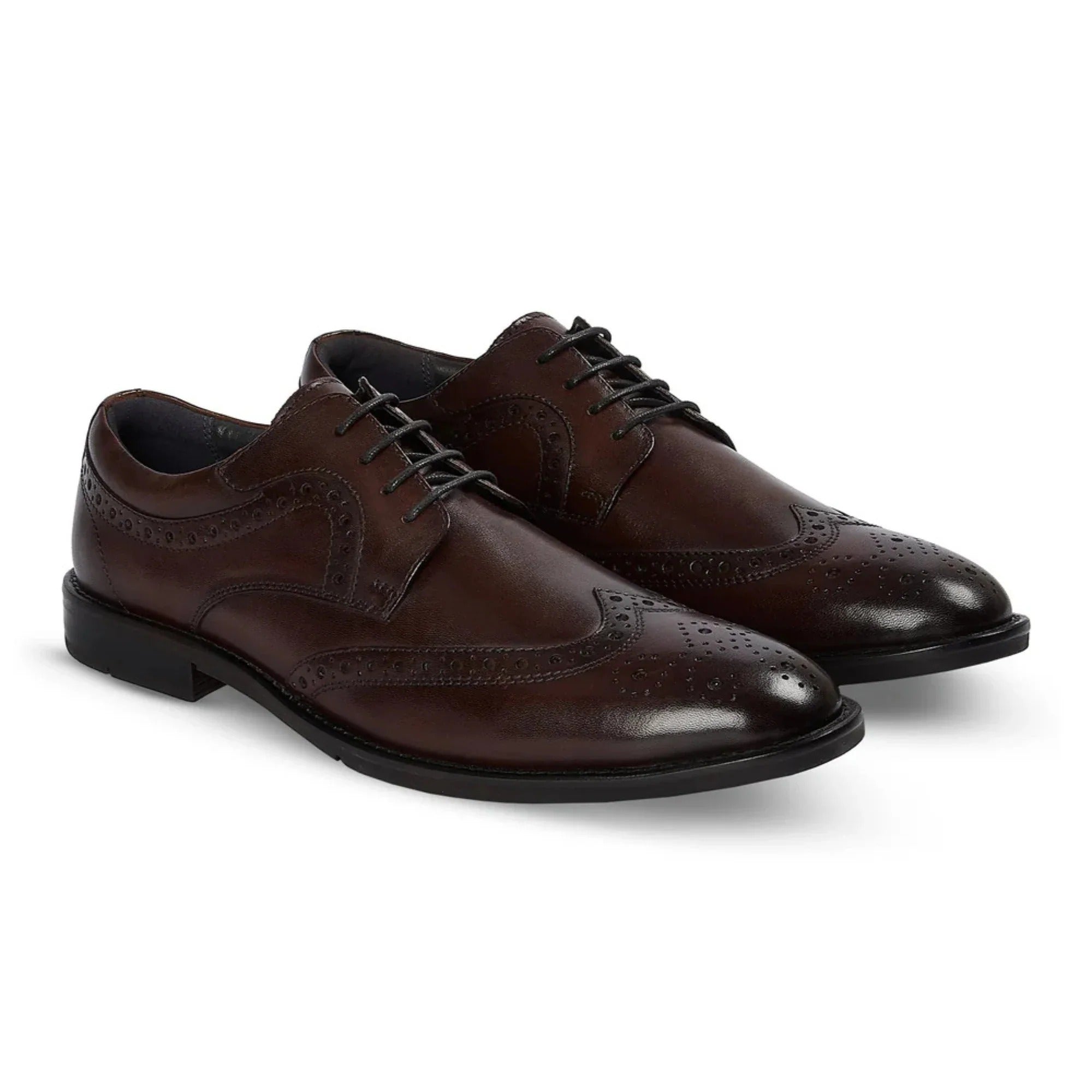 Cambridge - Pantofi Derby Brogue cu Wingtip, maro închis, pentru bărbați