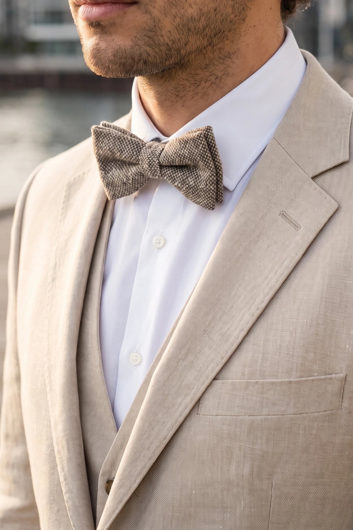Papion bărbătesc din tweed taupe