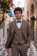 Papion bărbătesc din tweed taupe