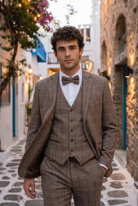 Papion bărbătesc din tweed taupe